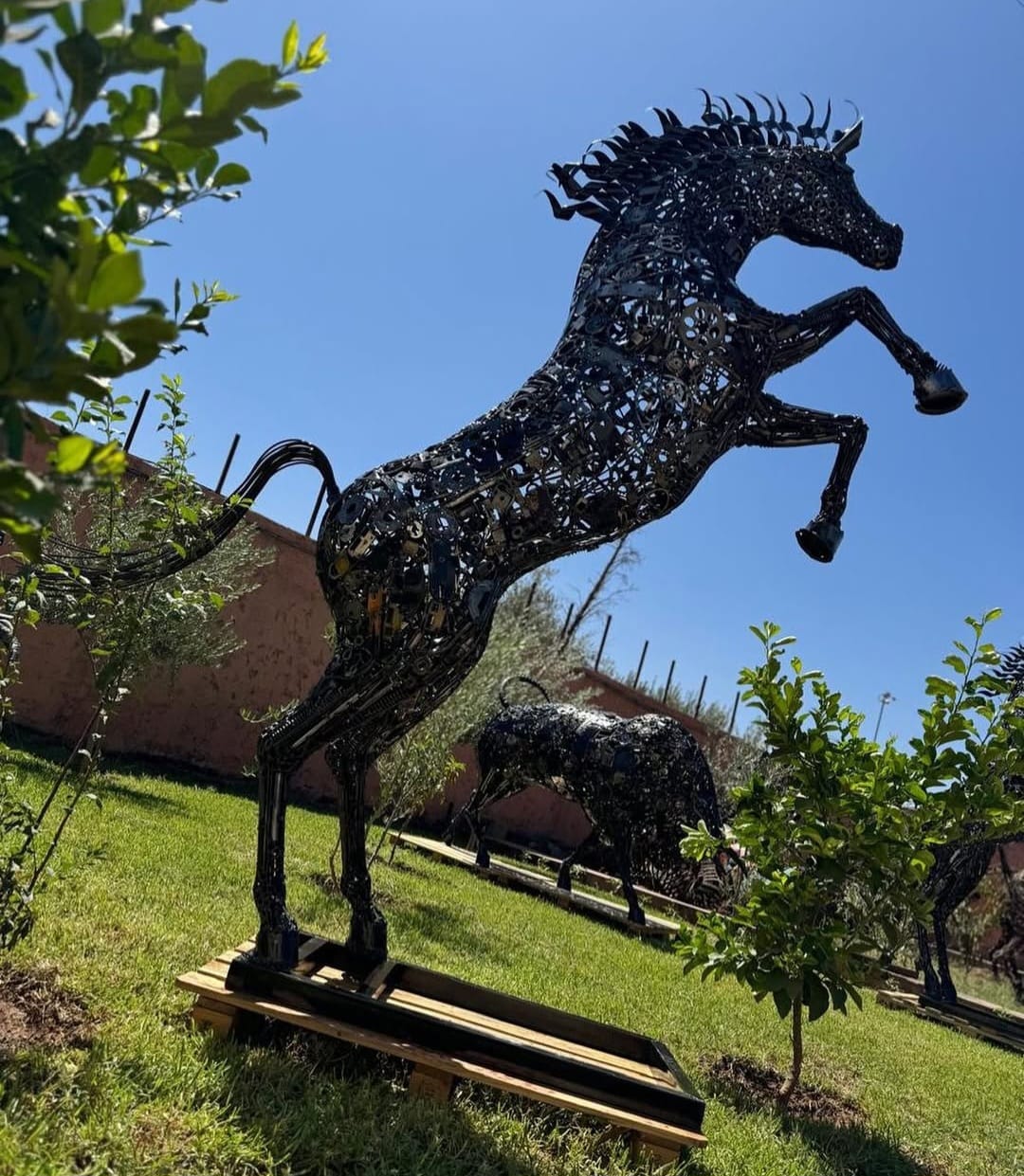 Steigerend paard in tuin